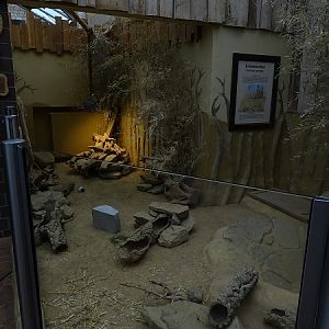 Giraffenhaus - meerkat indoor enclosure (07/22)