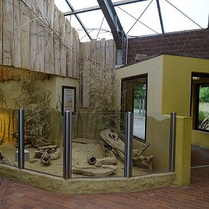 Giraffenhaus - meerkat indoor enclosure (07/22)