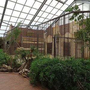 Giraffenhaus - Stables for giraffes (07/22)