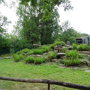 Enclosure for yellow-footed rock wallabies (07/22)