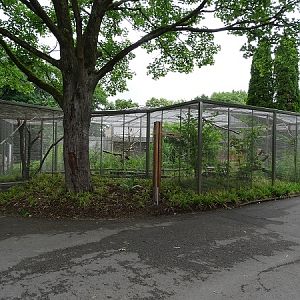 Australian walk-through aviary (07/22)