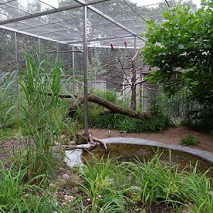 Australian walk-through aviary (07/22)