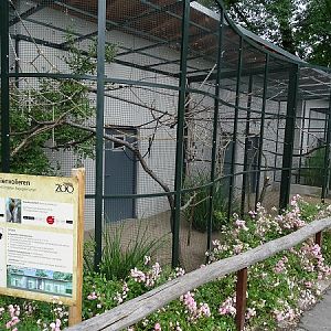 Enclosures for pygmy marmoset (front) and grey-breasted parakeets (back) (07/22)