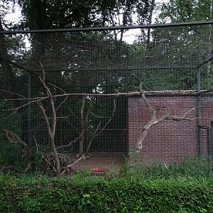Enclosure for keas (07/22)