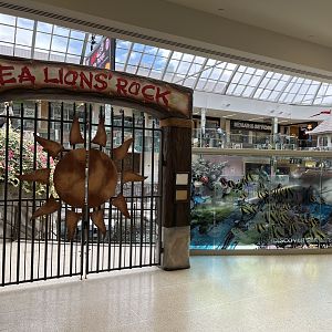 California Sea Lion Exhibit