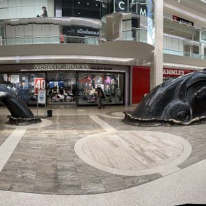 Whale surfacing in shopping mall