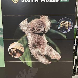 Little Ray’s Nature Centre