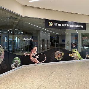 Little Ray’s Nature Centre