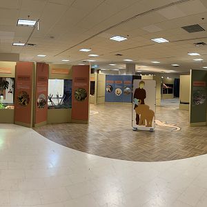 Little Ray’s Nature Centre