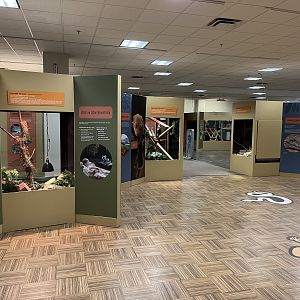 Little Ray’s Nature Centre