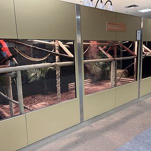 Little Ray’s Nature Centre