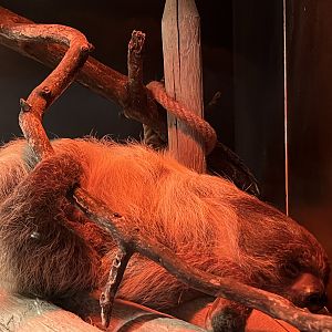 Little Ray’s Nature Centre