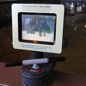 A Ray's View of the Exhibit