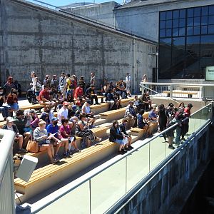 Turning the Tide: Story of Monterey Bay