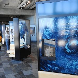 Ocean waste turned into art exhibit