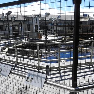 Otter Restoration Habitat