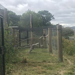 Turkey vulture aviary