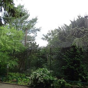 Enclosure for waldrapps and purple swamphens (07/22)