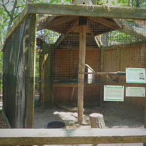 Wildlife Housing Area - Great Horned Owl Exhibit