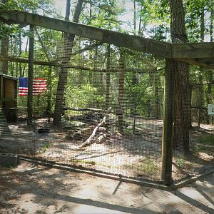 Wildlife Housing Area - Northern Bald Eagle Exhibit