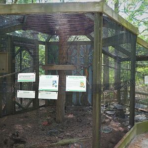 Wildlife Housing Area - Blue Jay and Eastern Box Turtle Exhibit