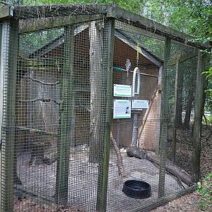 Wildlife Housing Area - Cooper's Hawk Exhibit
