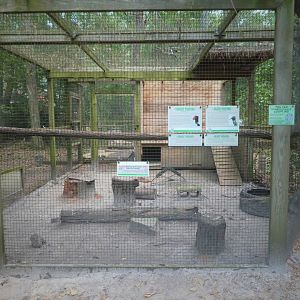 Wildlife Housing Area - North American Black Vulture and Turkey Vulture Exhibit