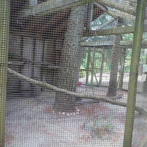 Wildlife Housing Area - Northern Barred Owl Exhibit