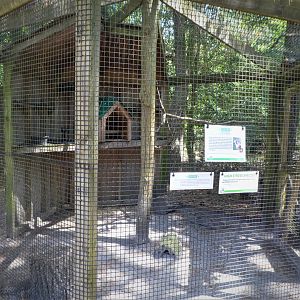Wildlife Housing Area - Taiga Merlin Exhibit