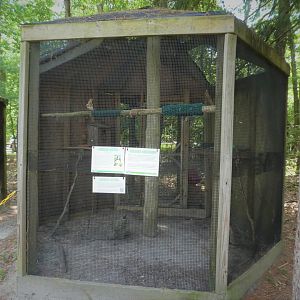 Wildlife Housing Area - Northern American Kestrel Exhibit