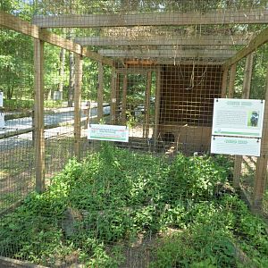 Wildlife Housing Area - Striped Skunk Exhibit