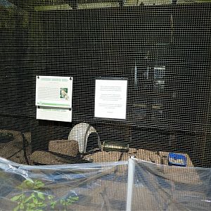 Wildlife Housing Area - Northern Bobwhite Exhibit