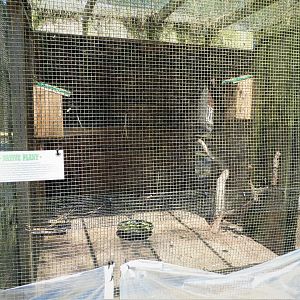 Wildlife Housing Area - Canada Goose Exhibit