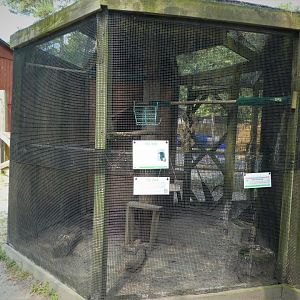 Wildlife Housing Area - Fish Crow Exhibit