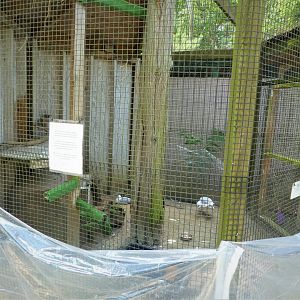 Wildlife Housing Area - American Herring Gull and Ring-billed Gull Exhibit