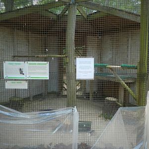 Wildlife Housing Area - Eastern Turkey Vulture Exhibit