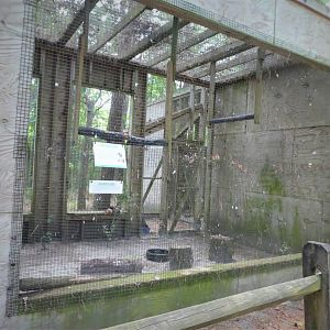 Wildlife Housing Area - Eastern Red-tailed Hawk Exhibit