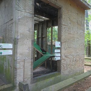 Wildlife Housing Area - Turkey Vulture Exhibit