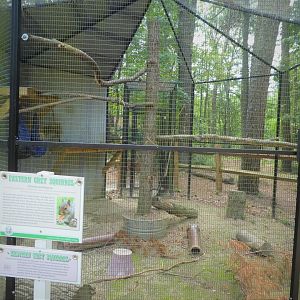 Wildlife Housing Area - Pennsylvania Gray Squirrel Exhibit
