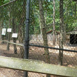 Wildlife Housing Area - Northern White-tailed Deer Exhibit