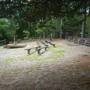 Wildlife Housing Area - Amphitheater