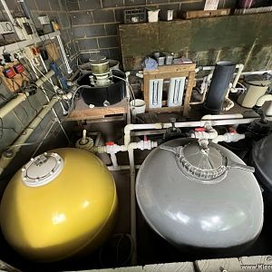 Filters for Penguin Exhibit.