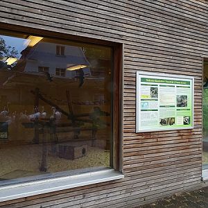 Indoor enclosure for South-American coatis (07/22)