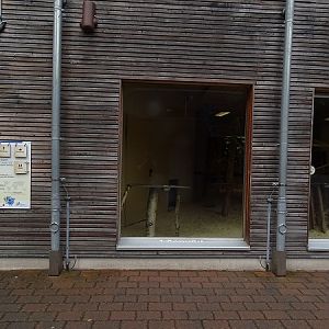 Indoor enclosure for ring-tailed lemurs (07/22)