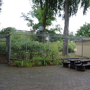 Enclosure for ring-tailed lemurs (07/22)