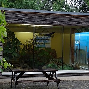 Meerkat indoor enclosure (07/22)