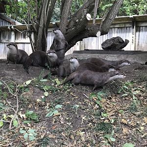 Edinburgh’s ASCO family