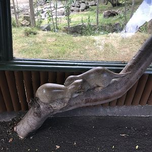 Otter statue (built in 2005)