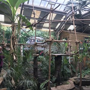 Two-toed sloth enclosure