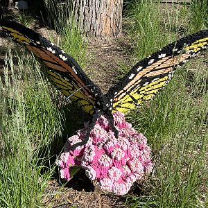 LEGO Butterfly